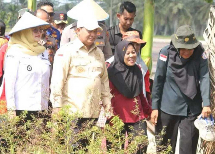 Bupati Askolani dan Wabup Netta Launching Perdana Tabur Benih IP 300 di Karang Agung Ilir