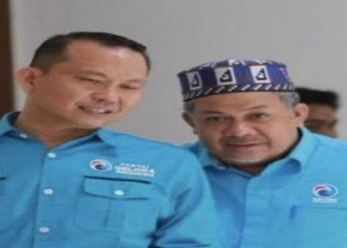 Dugaan Pemalsuan Surat Tanah, Ketua DPW Partai Gelora Sumsel Erza Saladin Ditahan 