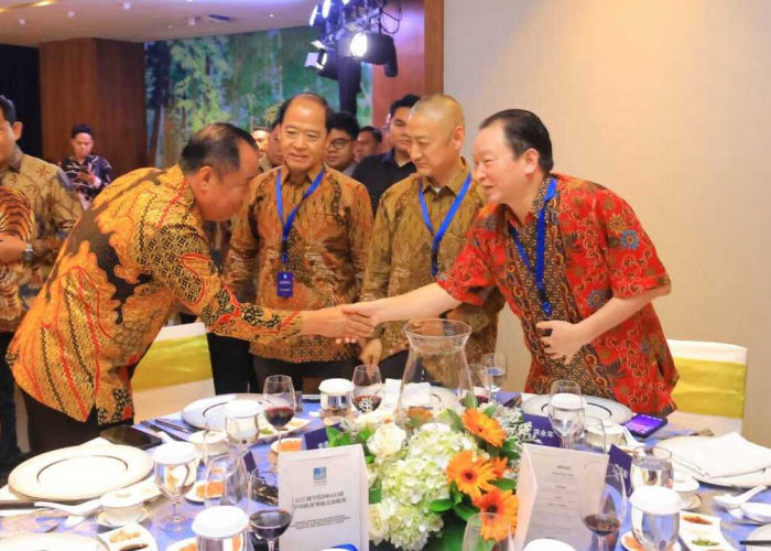 Wagub Cik Ujang Dorong Peluang Investasi Sumsel dalam Forum Tokoh Politik dan Bisnis Tiongkok–Indonesia