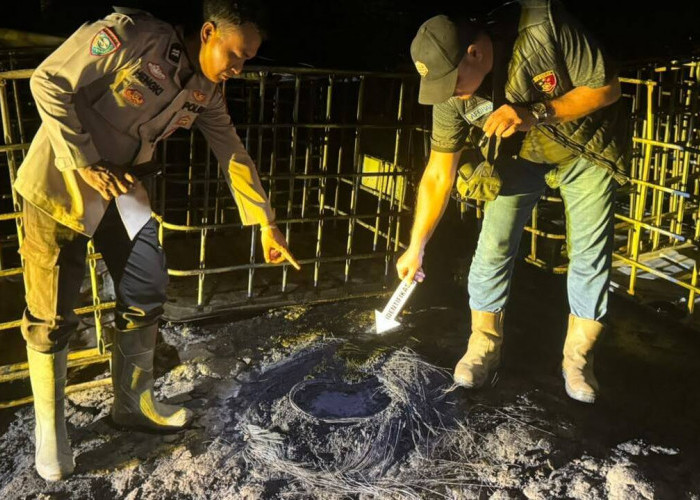 Kebakaran Lahap Bak Penampungan Minyak dan Pondok Pekerja, Pemilik Diamankan Polisi
