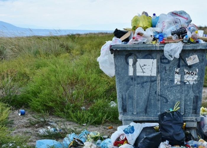 Dari Sampah menjadi Emas: Panduan Lengkap Mengelola Sampah Plastik di Kehidupan Sehari-hari