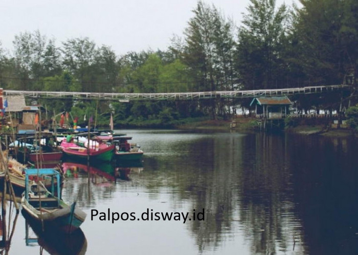 Pemekaran Wilayah Kalimantan Tengah: Usulan Pembentukan 4 Provinsi Baru untuk Pemerataan Ekonomi