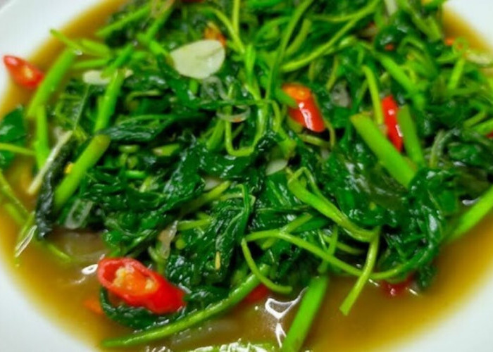 Lezat dan Bergizi, Tumis Bayam Saus Tiram Menjadi Pilihan Favorit Menu Sehari-hari