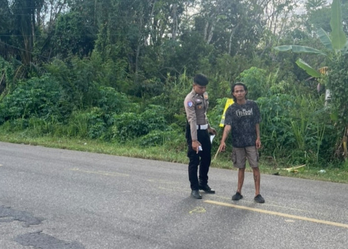 Hindari Lubang Jalan, Pengendara Scoopy Tewas Ditabrak Truk 