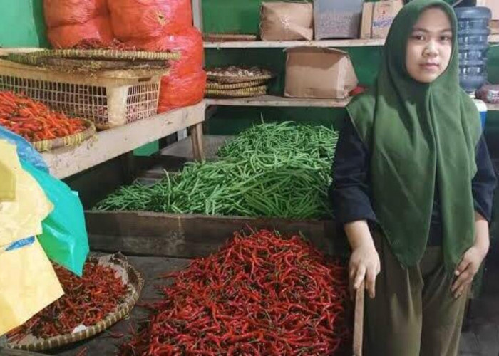 Harga Cabai Merah di OKU Tembus Rp100 Ribu Perkg