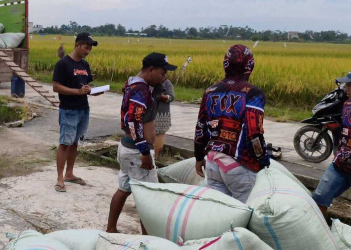 Bulog Data 162.842 Penerima Bantuan Pangan di OKU Raya