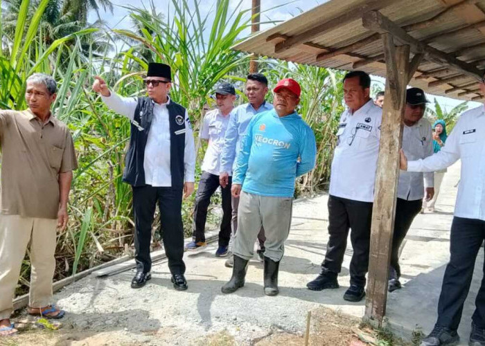 Bupati OKU Rogoh Kocek Pribadi Bangun Jalan Cor Setapak di Kelurahan Sepancar