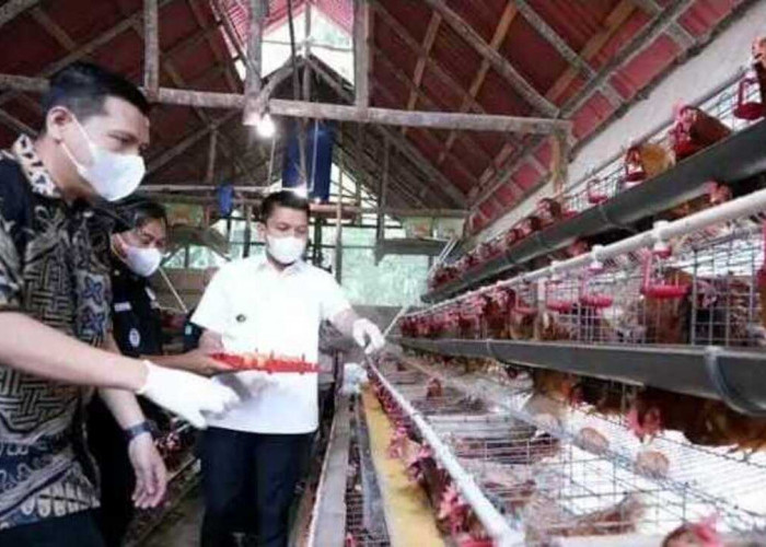 Bupati Panca Dorong Pasokan Pangan Lokal Ogan Ilir untuk Sukseskan Program MBG