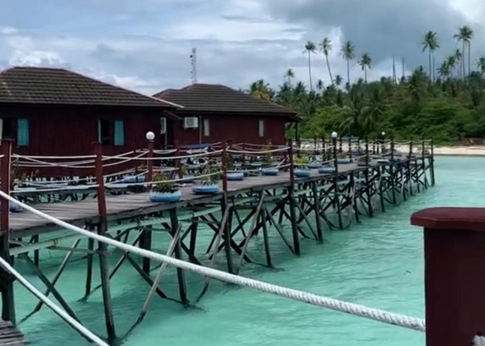 Eksotisme Laut dan Keindahan Pulau Maratua: Destinasi Wisata Tersembunyi di Kalimantan Timur