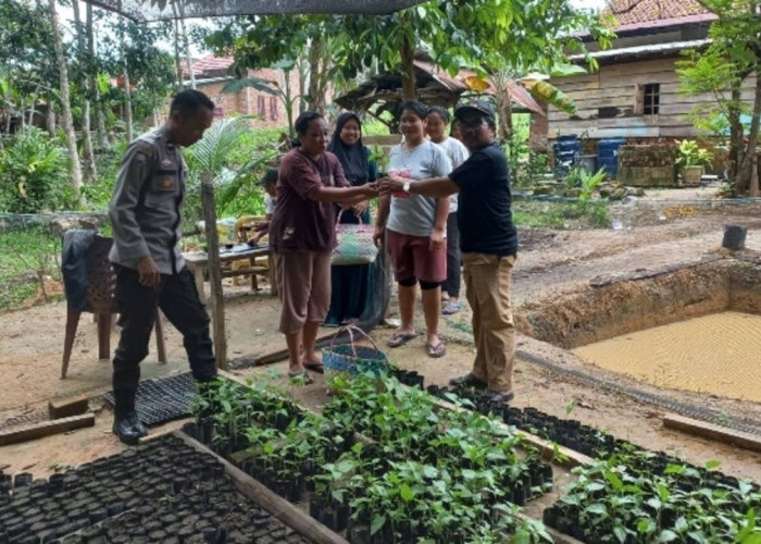 Dukung P2B Bagikan Bibit Cabai Tomat dan Terong kepada Warga