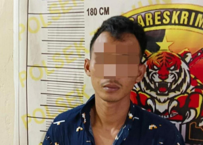 Berbulan-bulan Buron, DPO Kasus Curat di Lubuk Keliat Akhirnya Ditangkap Polisi