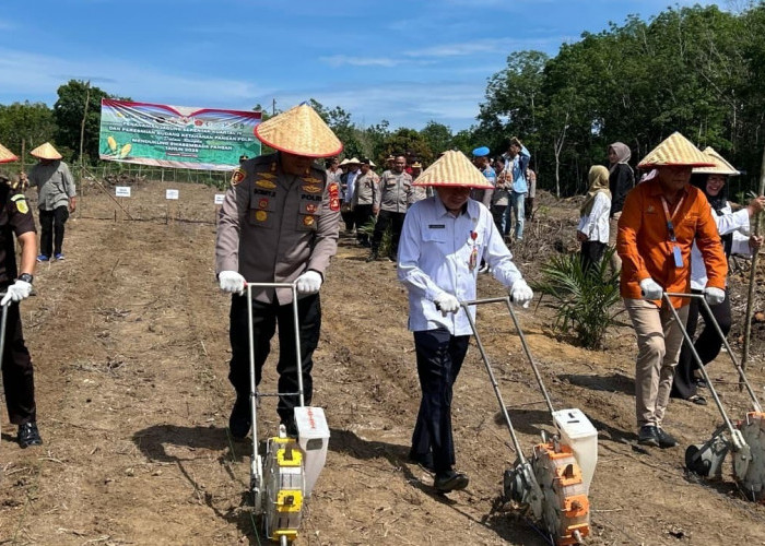 Polres Prabumulih Tanam Jagung Serentak Kuartal IV Dukung Swasembada Pangan Nasional 2025