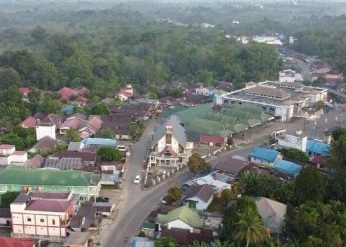 Pemekaran Wilayah Kalimantan Tengah: Dua Opsi Usulan Daerah Otonomi Baru Provinsi Barito Raya