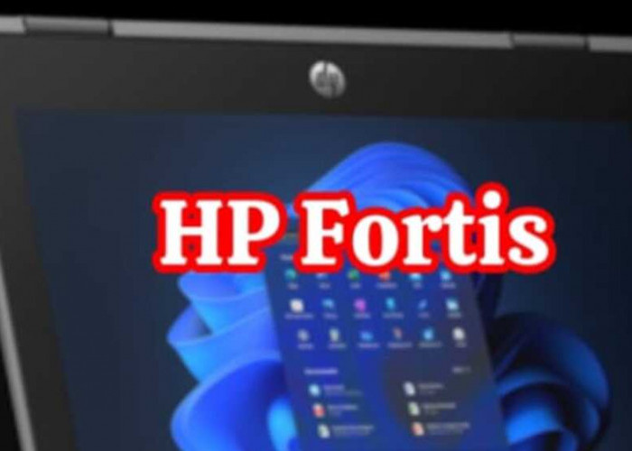 HP Fortis: Chromebook Berstandar Militer dengan Kekuatan dan Daya Tahan Tinggi