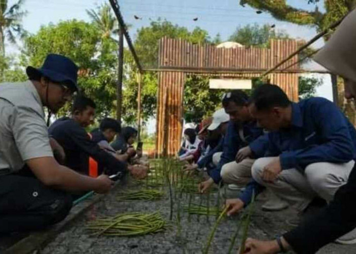 PTBA Resmikan NUSA di Pasir Sakti, Perkuat Rehabilitasi Mangrove Berbasis Masyarakat*