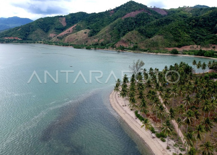 Pemekaran Wilayah Gorontalo: Kabupaten Gorontalo Barat Sebagai Kawasan Agrikultur Potensial