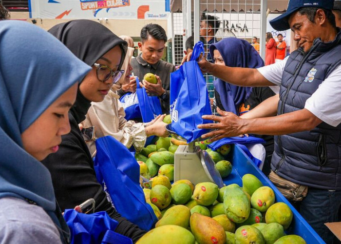 Diberdayakan BRI, Petani Mangga Bondowoso Mampu Perluas Lahan dan Tingkatkan Taraf Hidup