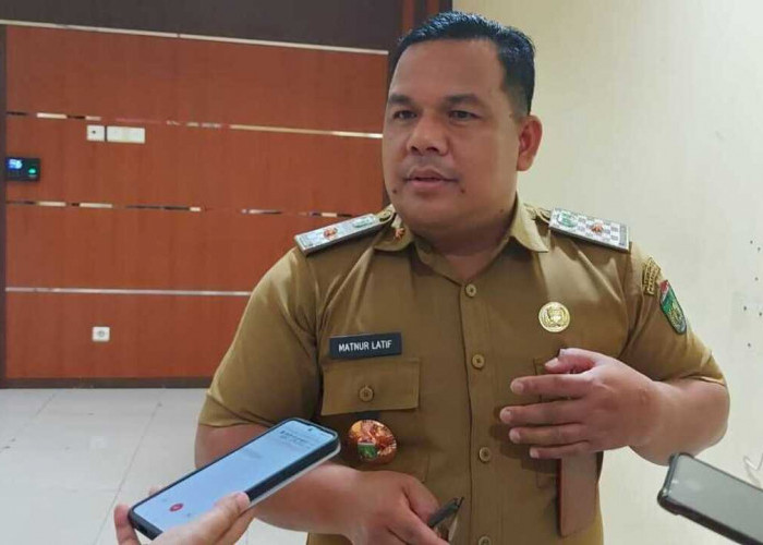 187 PHL Prabumulih Tidak Lulus Seleksi Penerimaan PPPK, Kepala BKPSDM: Kami Masih Menunggu Kebijakan Pusat