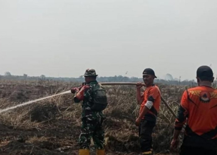Karhutla Hanguskan 33 Hektare Lahan, 60 Personel Dikerahkan