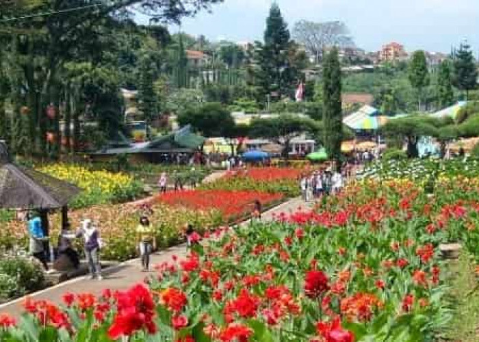 Pemekaran Wilayah Provinsi Sulawesi Utara, Kota Bunga Tomohon Taman Cantik Berkelas Internasional