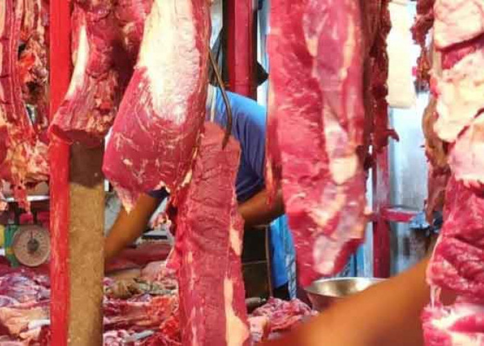 Mendekati Hari Raya Imlek, Berikut Harga Daging Sapi di Palembang 