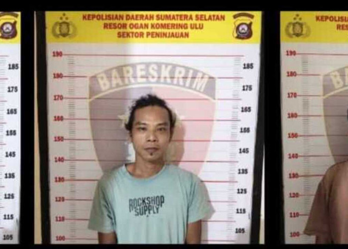Tiga Pelaku Pencurian Kelapa Sawit Milik Mitra Ogan Diciduk Polisi
