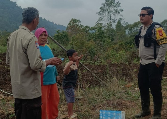 12 Hektare Lahan Disiapkan untuk Budidaya Bawang Putih