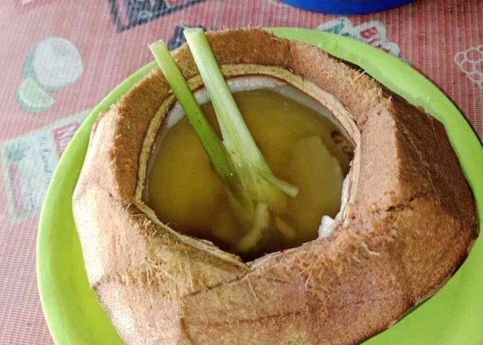 Dogan Bakar Rempah Kian Digemari, Ini Manfaat Kelapa Muda Bakar Jahe, Serai, dan Gula Aren