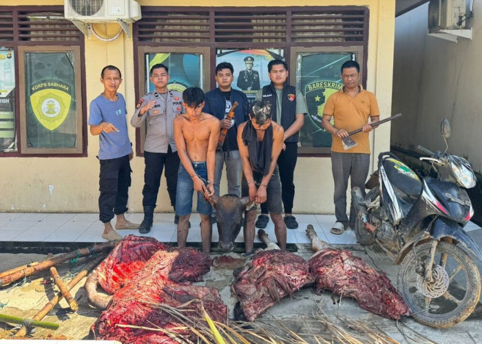 H-1 Idul Adha, Oknum Karyawan PT Lonsum Ditangkap Diduga Terlibat Pencurian Sapi