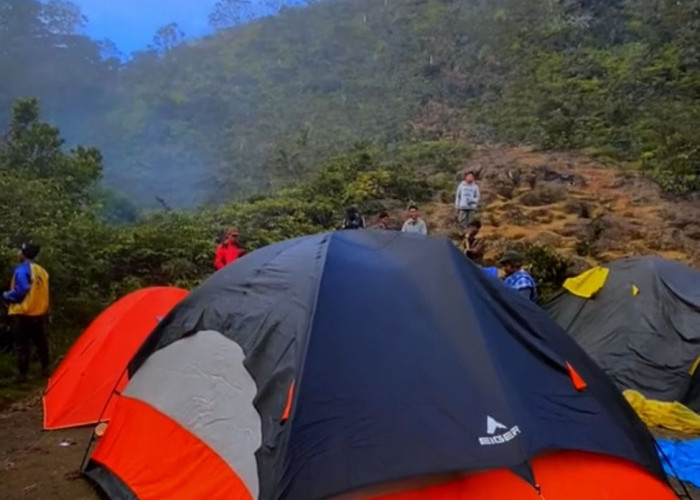 Mendaki Gunung Singgalang Wajib Bermalam dan Menikmati Keindahan Alam di Camp Area Telaga Dewi