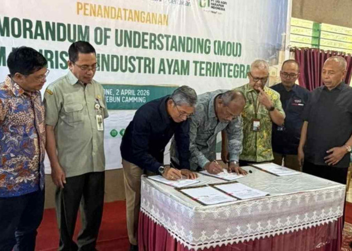 PTPN I Perkuat Ketahanan Pangan Melalui Hilirisasi Terintegrasi di Bone