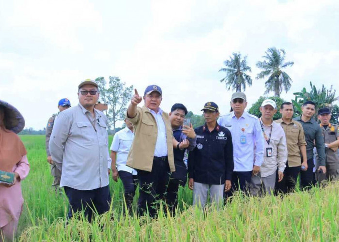 Gubernur Herman Deru Ungkap Kunci Sukses Sumsel Jadi Tiga Besar Nasional Produksi Pangan