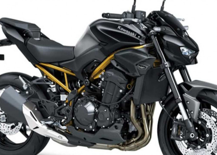Review Kawasaki Z900 2026: Desain Agresif, Mesin 124 HP, dan Pilihan Warna Segar