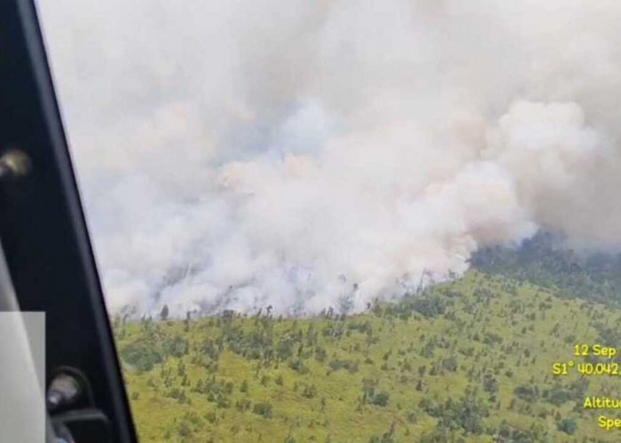 Karhutla Masih Sisakan Titik Api, PT Tripupa Jaya Perkuat Pemadaman di TN Berbak Sembilang