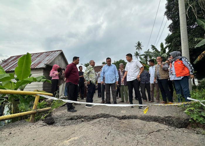 Tinjau Jembatan Lubuk Rukam–Muara Kumbang yang Ambruk, Panca: Kita Akan Perbaiki Dalam Waktu Sebulan