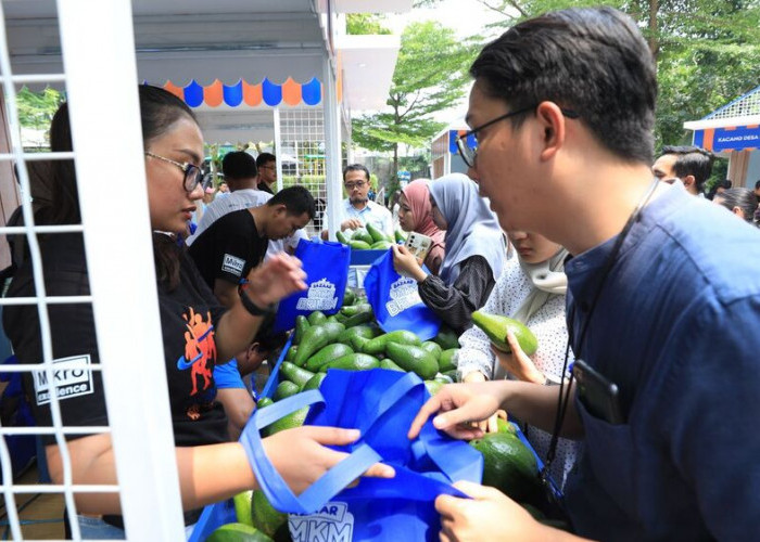 Berkat Program Pemberdayaan BRI Klasterku Hidupku, Petani Ini Berhasil Kembangkan Budidaya Alpukat