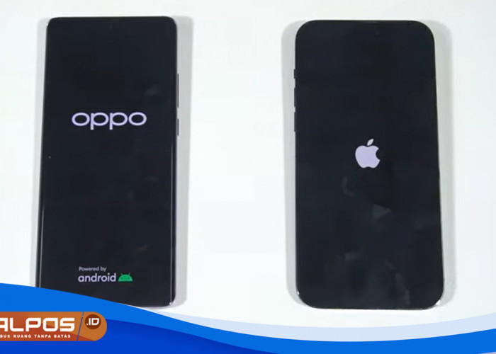 Perang Kamera Telefoto dan Zoom : Oppo Reno 10 Pro Plus 5G Vs iPhone 14 Pro Max, Siapa Paling Unggul ? 