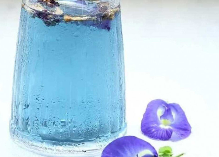 Menyegarkan dengan Elegansi Biru: Bunga Telang, Kunci Rahasia Minuman Segar yang Memukau