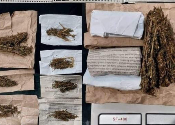 Sekelompok Pemuda Diduga Pengedar Daun Setan Diringkus Satres Narkoba Polres Lubuklinggau