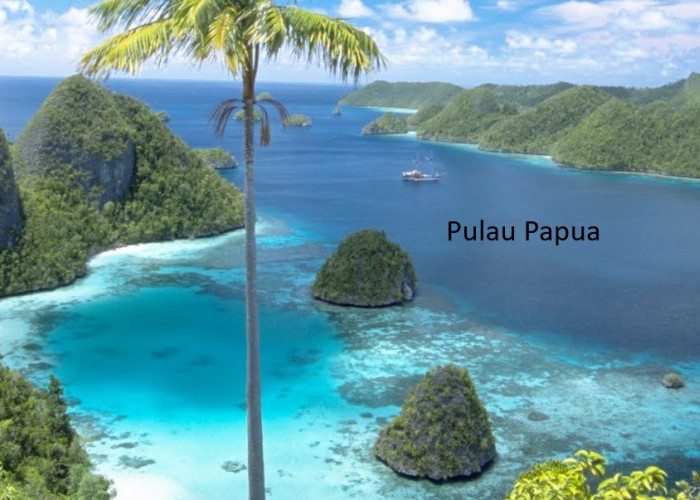 Empat Provinsi Baru di Papua Muncul Pasca-Pemekaran