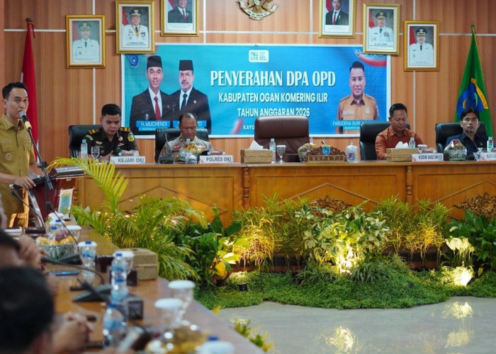 DPA 2026 Fokus Anggaran Prioritas, Realisasi Digas