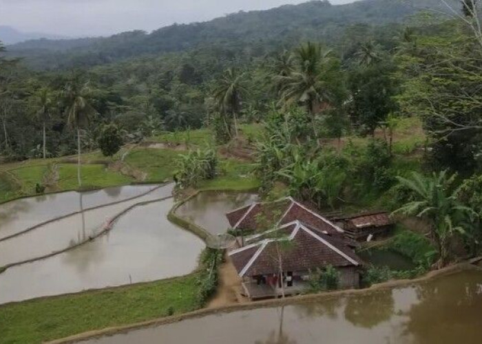 Terungkap! Fakta Unik Calon Kabupaten Cianjur Selatan Pemekaran Cianjur di Jawa Barat, Nomor 3 Lagi Heboh 