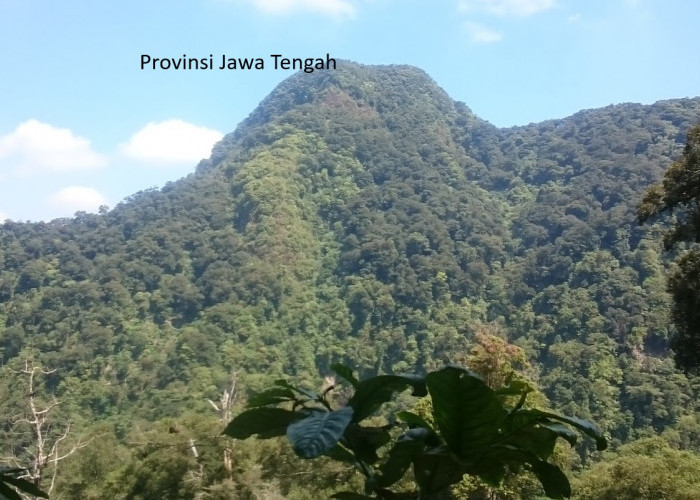 Wacana Pemekaran Wilayah Provinsi Jawa Tengah Muncul: Provinsi Muria Raya Dalam Sorotan Otonomi Baru