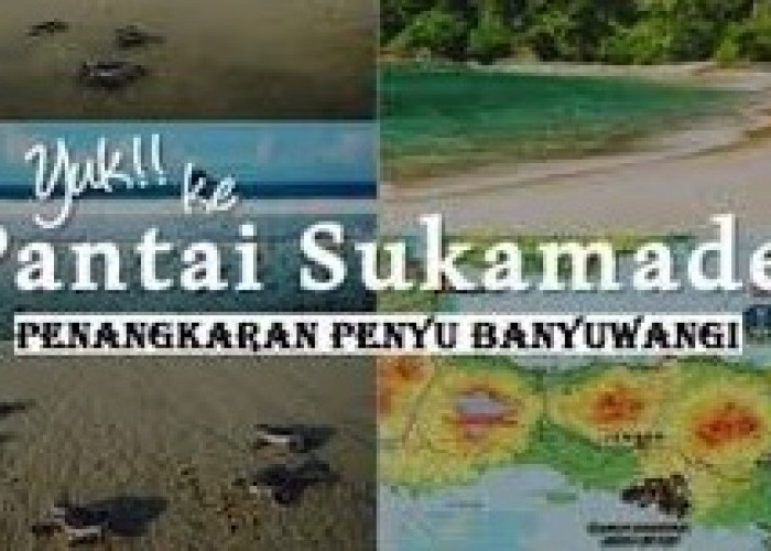 5 Pantai Eksotis di Kabupaten Banyuwangi Provinsi Jawa Timur, Wisatawan Dilarang Merokok di Pantau Sukamade