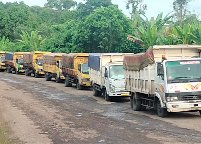 Mobilisasi Angkutan Batubara PT DBU Dalam Kota Disoal