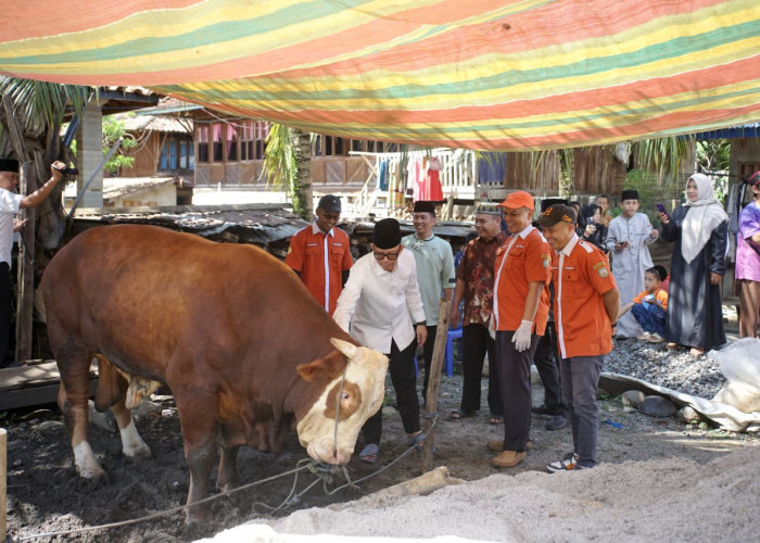 Bupati Sholad Idul Adha di Desa Batumarta II