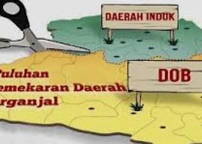 5 Calon Daerah Otonomi Baru di Provinsi Lampung, 2 Diantaranya Tinggal Tunggu Moratorium Dicabut...
