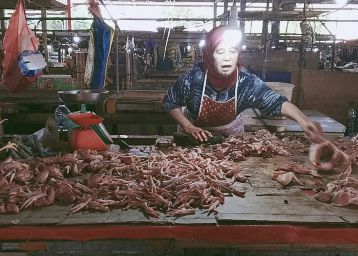 Daging Ayam di Muara Enim Tembus Rp45 Ribu/Kg, Pedagang Sebut MBG Jadi Pemicu, Hutang Terus Menumpuk
