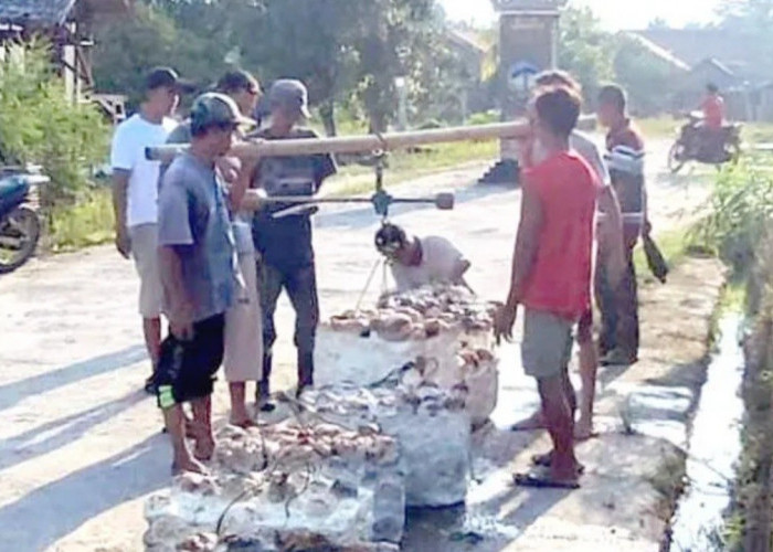 Harga Karet Tembus Rp25 Ribu/Kg, Petani di OKU Sumringah