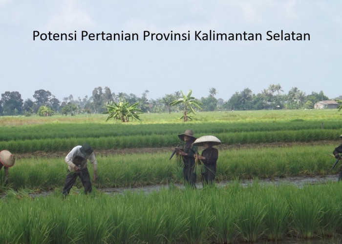 Menggali Potensi Pertanian Kalimantan Selatan: Menyongsong Kesejahteraan Petani dan Peluang Investasi